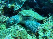 ガイドさん撮影！