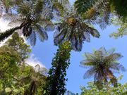 金作原から眺める空