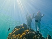 シュノーケリング中の夫婦