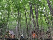 ニングルテラス