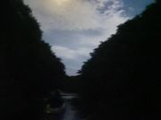 宮良川を海に戻るカヤックからの眺め