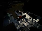 シートに寝そべって星空鑑賞