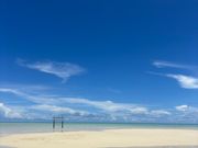 こちらで写真撮影会