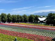 ファームトミタ