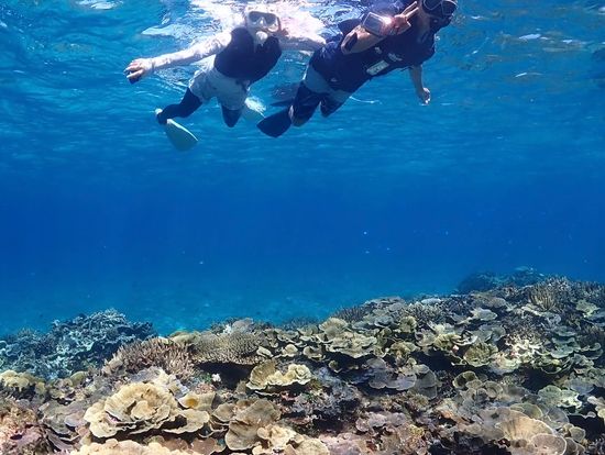 スタッフが撮ってくれました