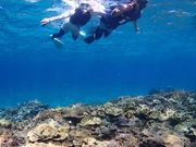 スタッフが撮ってくれました