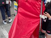 かなり大きい！