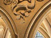 ぶどうドラゴン♪