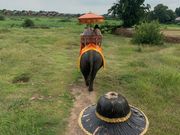 象🐘さんに乗って…