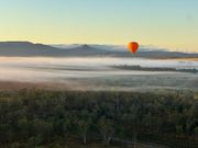 森に霧がかかり、映画のワンシーンのような幻想的な景色でした。
