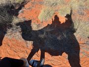 娘の提案でシルエットだけ撮ってみた。いい感じwww