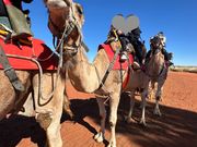 ガイドさんにお願いしてスマホ渡したら、色々な角度から写真を撮ってくれました。