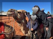 降りた後のふれあいタイム。
すごく穏やかでお目目クリクリで可愛かった。