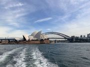 フェリーから！