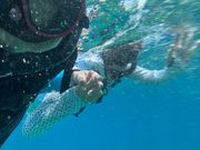 6人グループに別れて安心