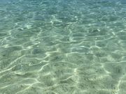 素晴らしい透明度✨サンゴの海だからシューズは必携アイテム