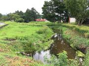 カッパ淵までの小道