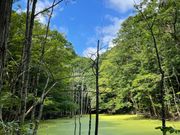 どこをとっても絵になる。