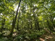 どこをとっても素敵。