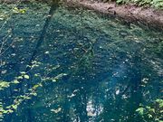 綺麗な青色！太陽が真上から照らす真っ昼間が一番綺麗らしい。