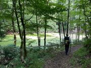 めっちゃ分かりやすく色々説明しながら案内してくださいました。