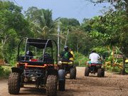 パパ､ママ先導、孫が追撃、じじばばが追う
