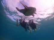 ウミガメと3ショットです！