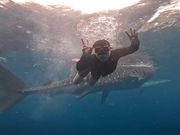 ジンベイとのショット