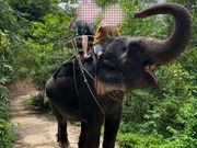 この画角で写真を撮ってくれました。