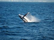 自分で撮れました