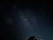 携帯で撮った写真