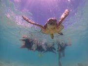 写真がキレイでびっくり