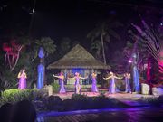 生の歌声とパフォーマンス