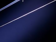 ケナガネズミ（珍しいらしい）