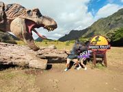 ジュラシックパーク撮影地にて記念撮影