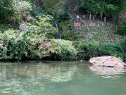 自然の良さ ミニ滝