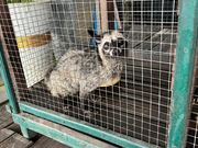 休憩所のかわいい子