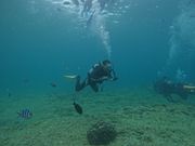 初めてのダイビング