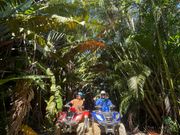 気分爽快のバギー