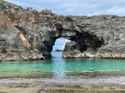 やっぱりココ扇池！