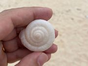 世界遺産登録の立役者