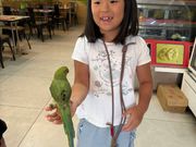 途中のサービスエリアのレストランにて