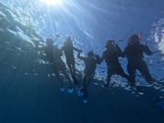 シュノーケリング