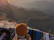 孫娘の相棒一緒に夕日見たね