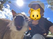 ワイルドライフパークにてワラビーと