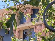 予定になかったディズニー本社にもお連れいただきました