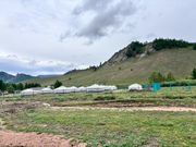 トレッキングの途中