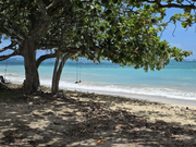 道沿いのブランコ