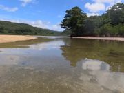 水がとても澄んでいました！