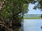 自然豊かです！